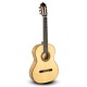 Guitarra Paco Castillo 215F