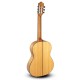 Guitarra Paco Castillo 215F