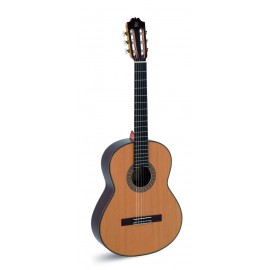 Guitarra Admira A20