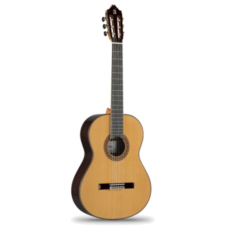 Guitarra Alhambra 8P