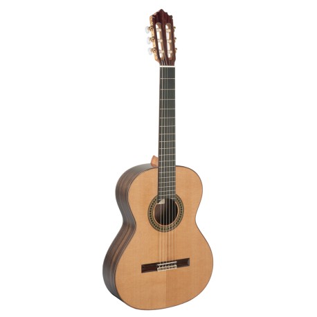 Guitarra Paco Castillo 204