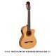 Guitarra Paco Castillo 223FCE