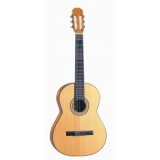 Tienda Guitarras y Ukeleles Online